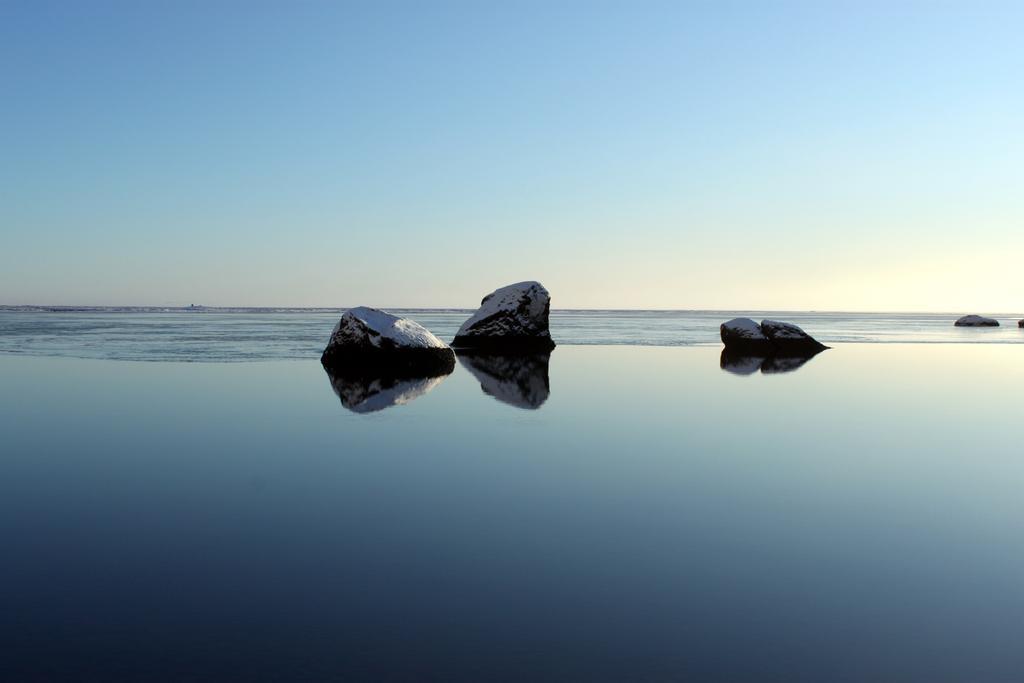 South Iceland Guesthouse Steinar المظهر الخارجي الصورة