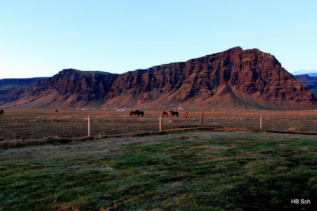 South Iceland Guesthouse Steinar المظهر الخارجي الصورة