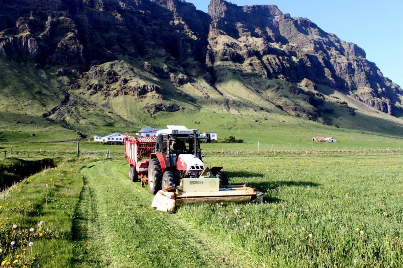 South Iceland Guesthouse Steinar المظهر الخارجي الصورة